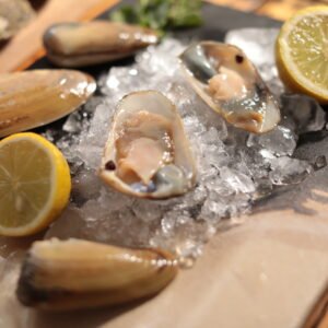 Bandeja de machas media concha 15 unidades