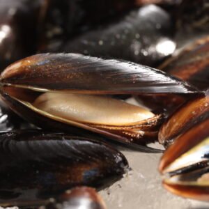 Choritos en concha congelado 1 kg